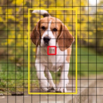 Foto de um cachorro com a grade de células do YOLO e a caixa de detecção desenhadas por cima